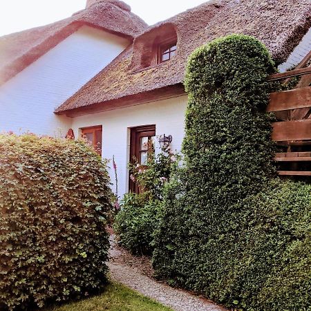 Ferienhaus Ebbe Und Flut, Terrassen-Whg Ніблум Екстер'єр фото